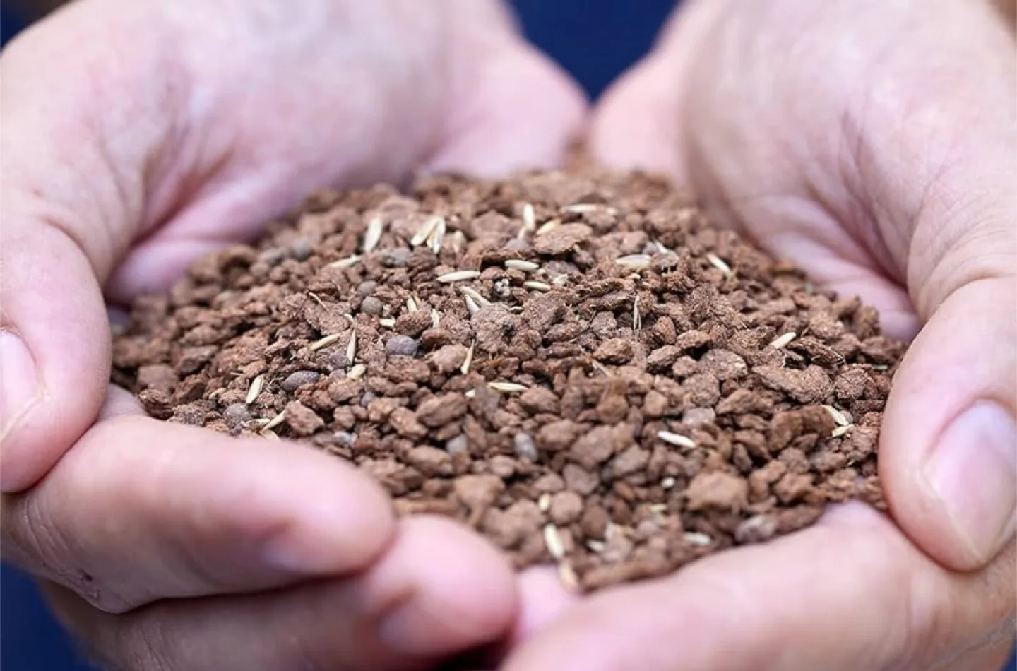 Brand New Scotts EZ Seed 3 in 1  Lawn Grass Patch & Repair image indicator(2)