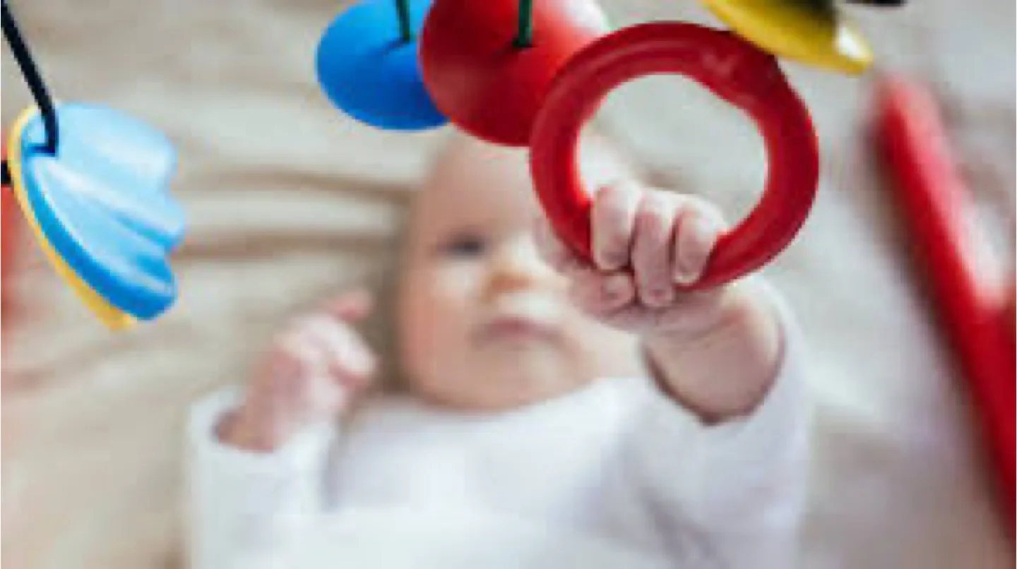 Baby Bouncer Bassinet with Hanging Toy image indicator(8)