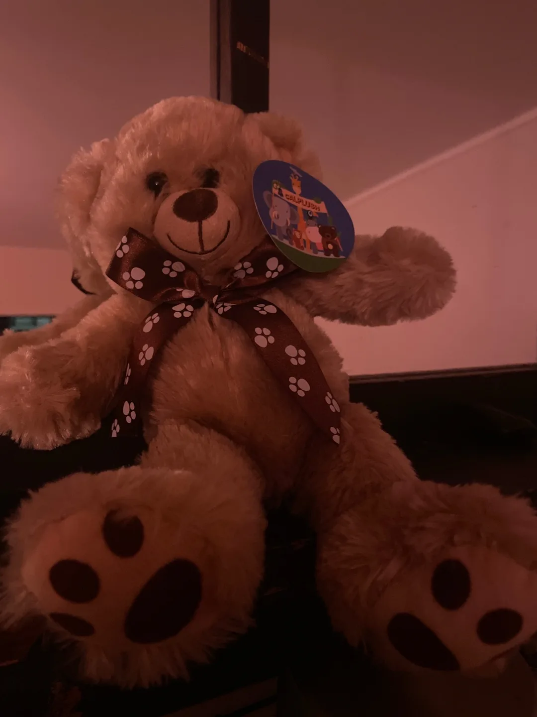 Calplush Teddy Bear - Cute and Cuddly! # freecycle thumbnail