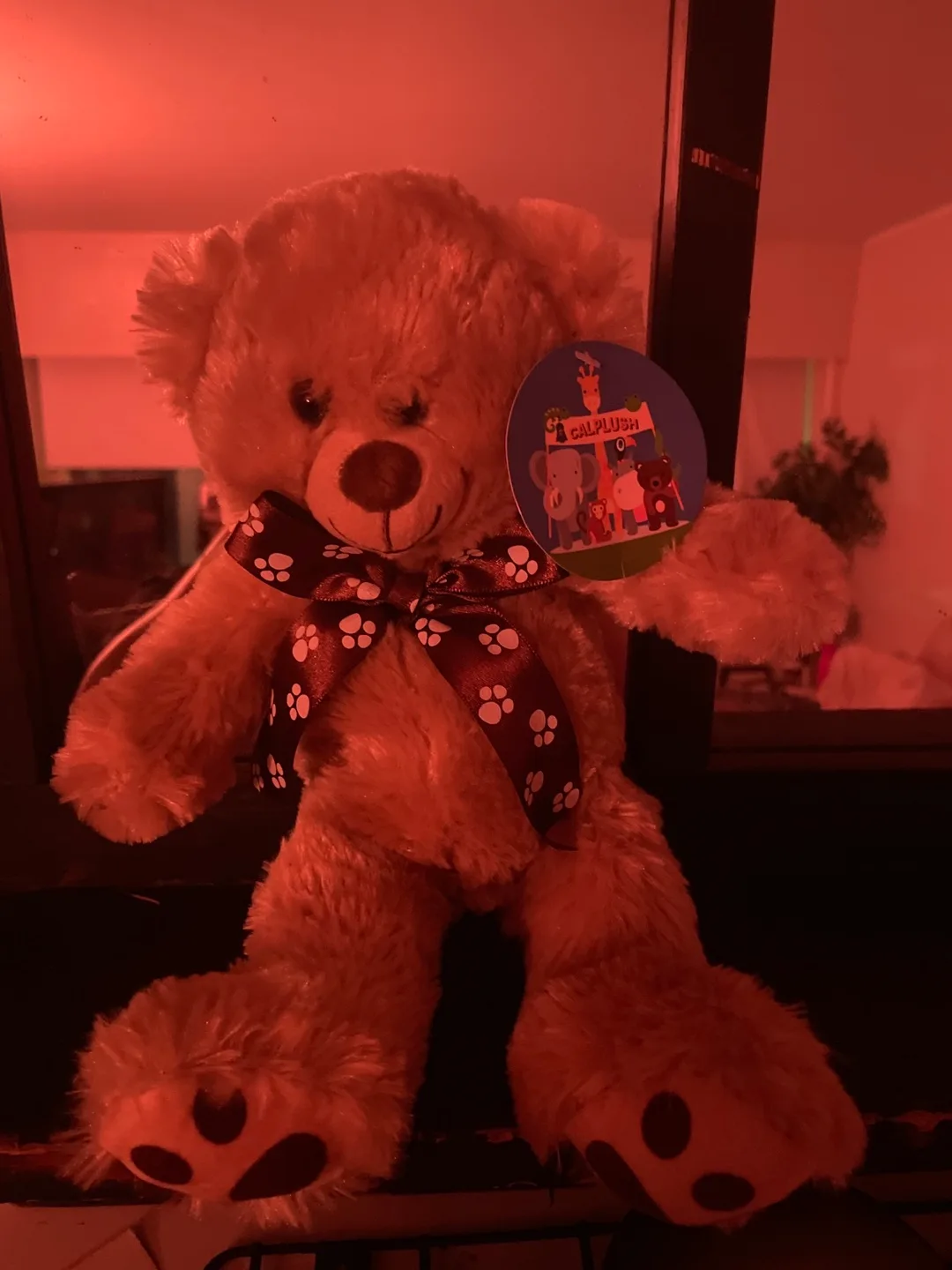 Calplush Teddy Bear - Cute and Cuddly! # freecycle image indicator(2)