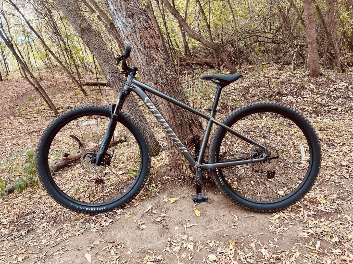 Specialized Rockhopper Mountain Bike