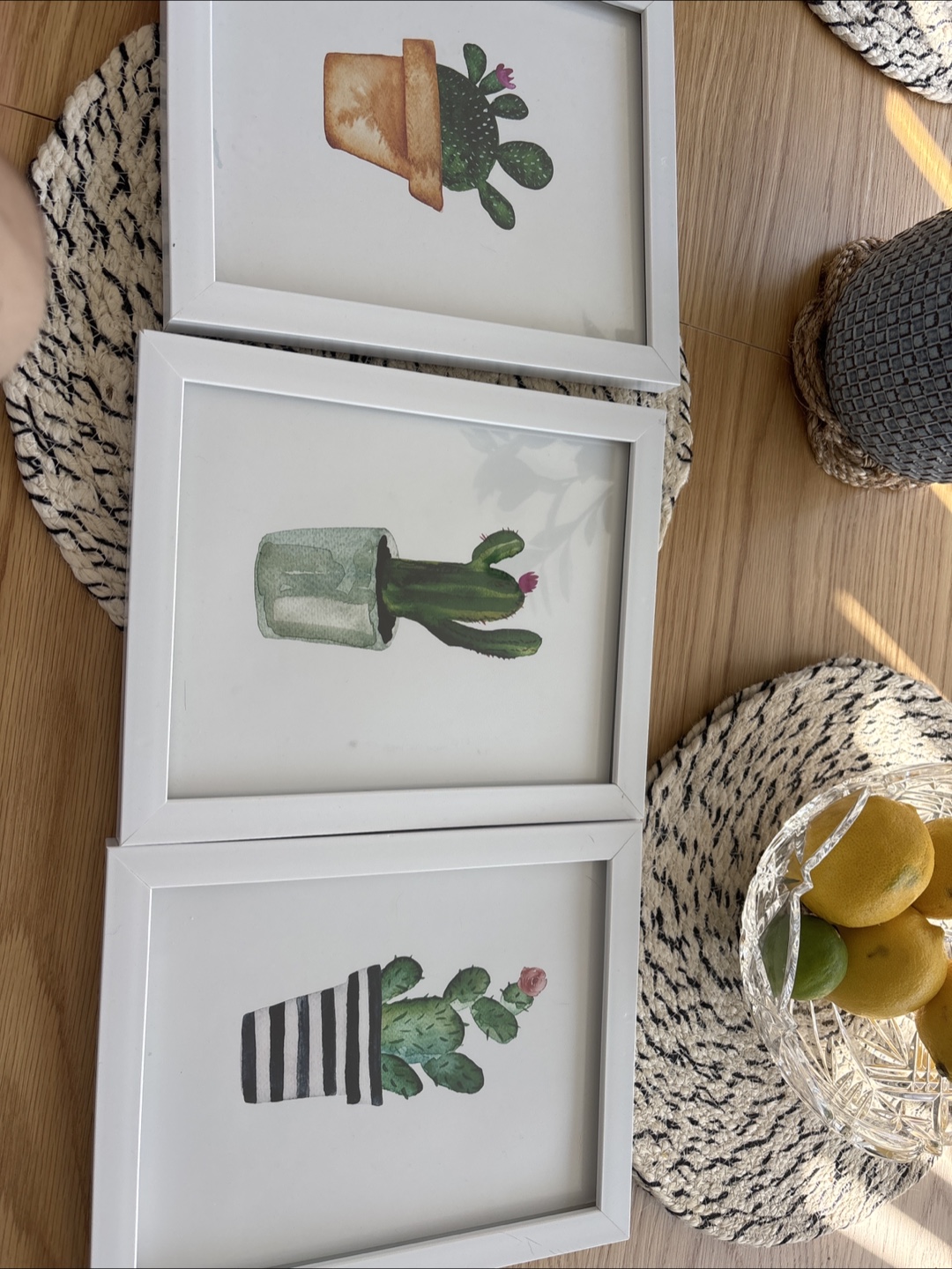 Cactus Print Framed Wall Art - Set of 3
