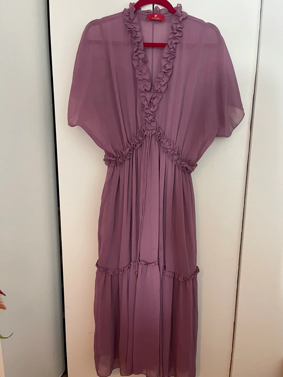 Lion of Porches Dress - Size 4 image indicator(4)