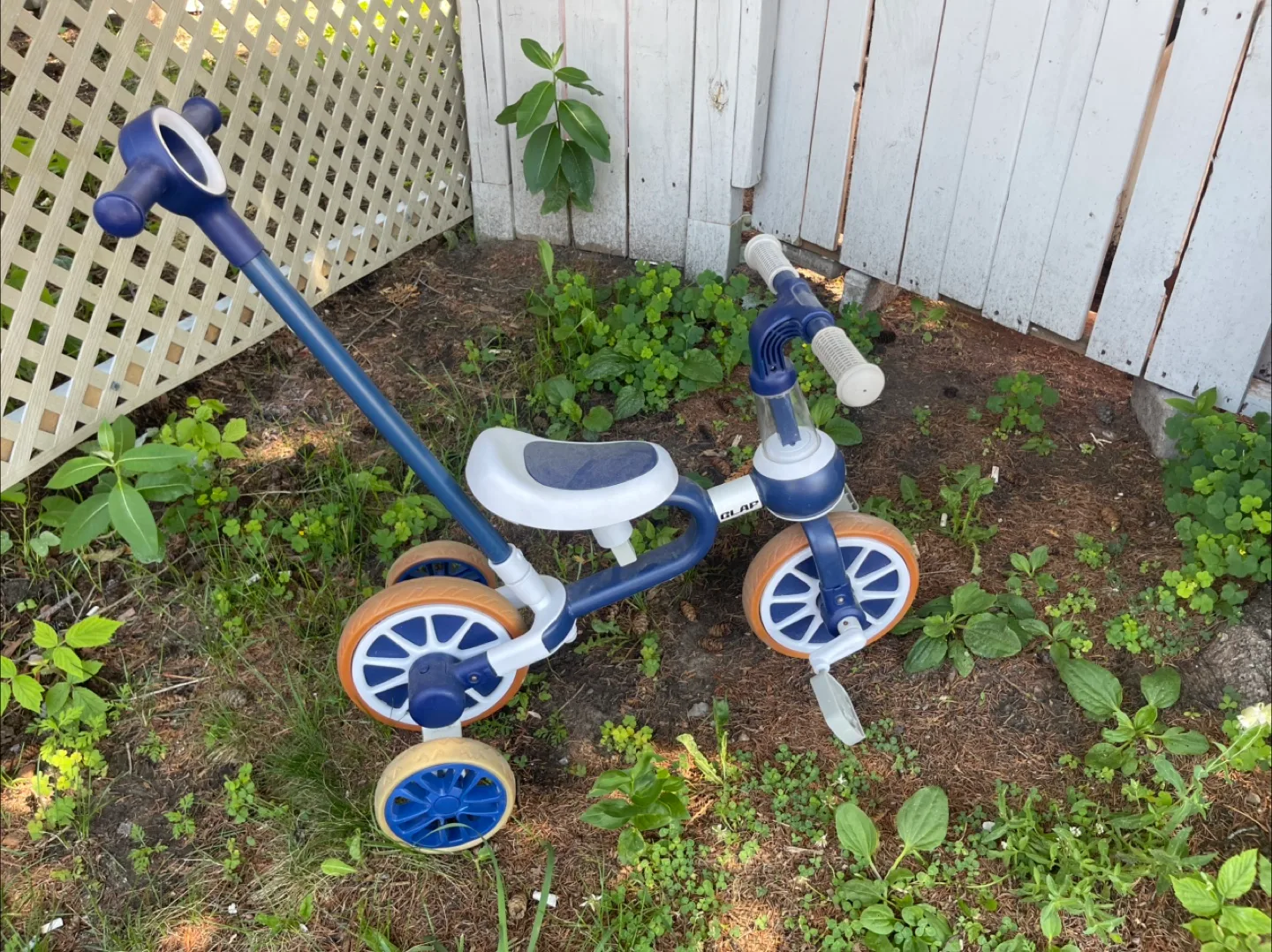 Blue & White Kids Tricycle thumbnail