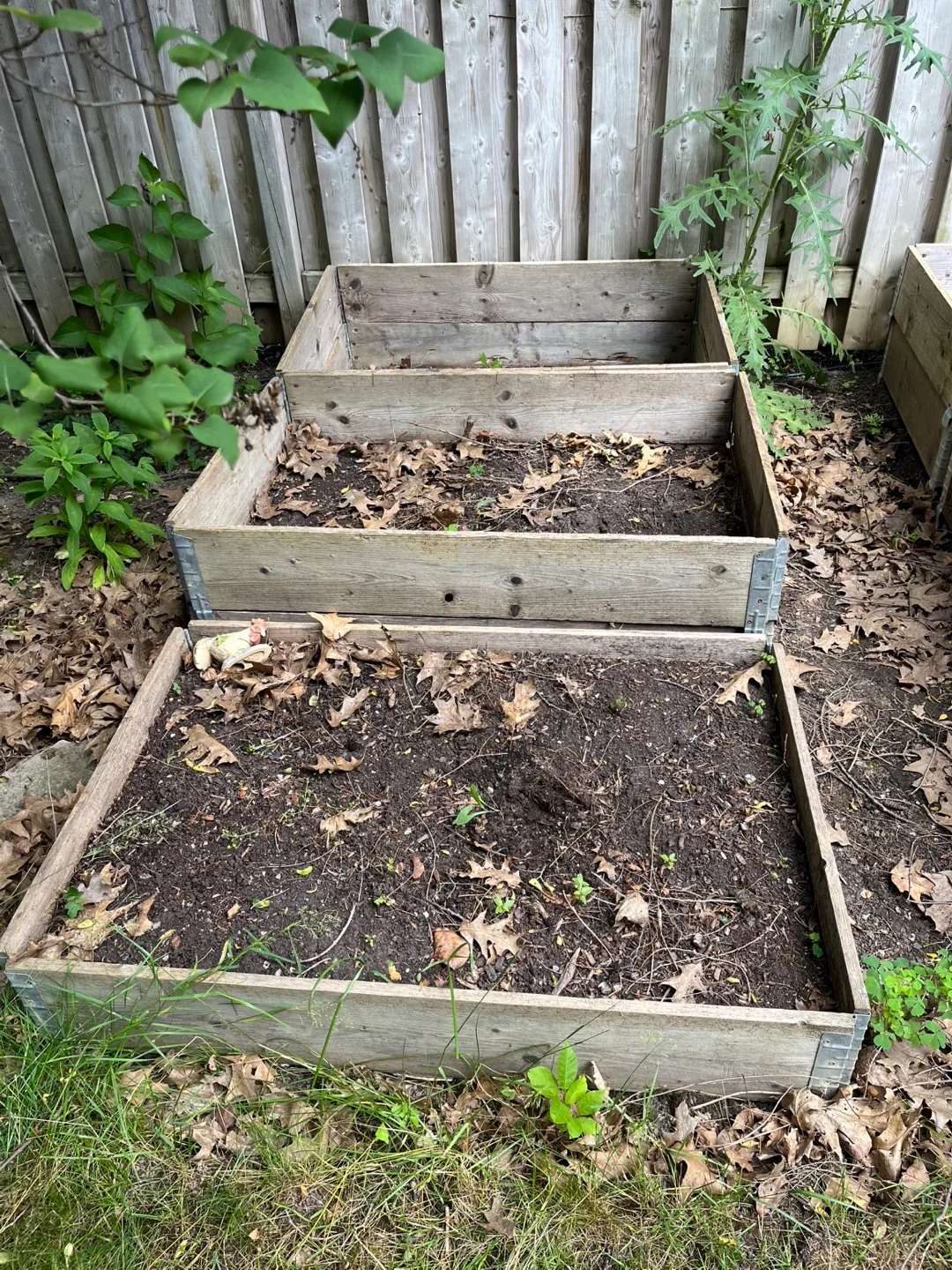 RAISED GARDEN BEDS thumbnail