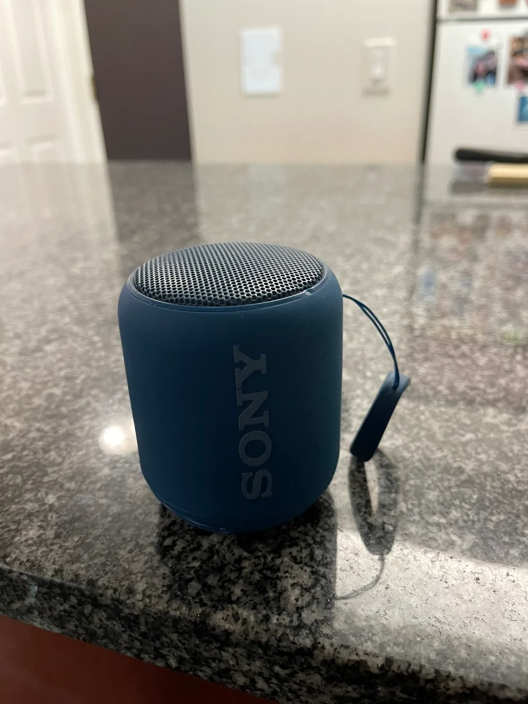 Sony SRS-XB10 Wireless Speaker - Blue thumbnail