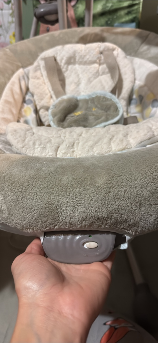 Ingenuity Baby Swing - photo 5