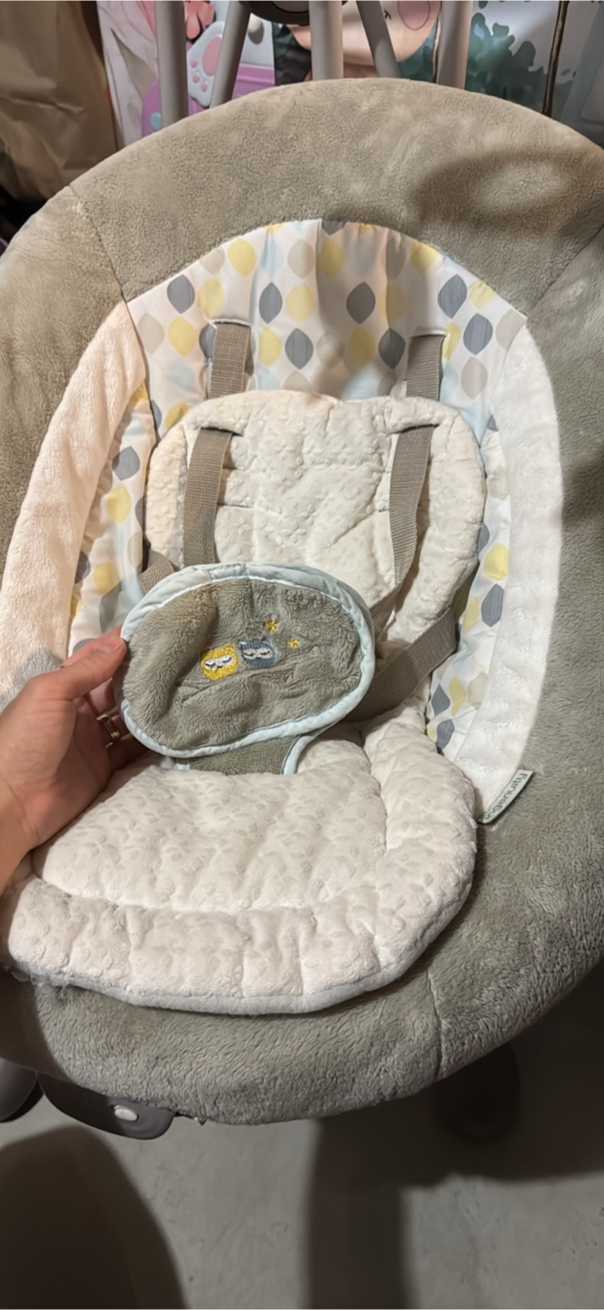 Ingenuity Baby Swing - photo 3