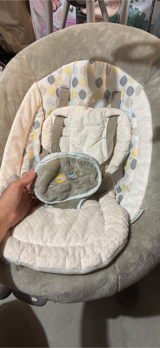 Ingenuity Baby Swing - photo 4