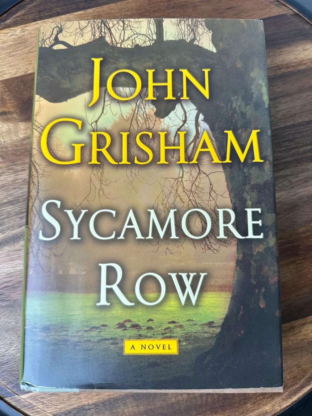 Sycamore Row by John Grisham thumbnail