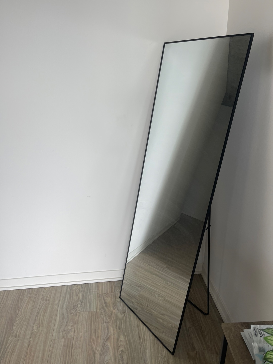 Full Length Black Trim Standing Mirror