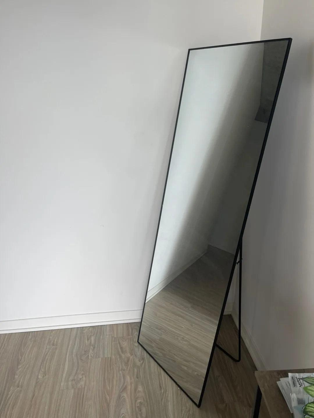 Full Length Black Trim Standing Mirror thumbnail