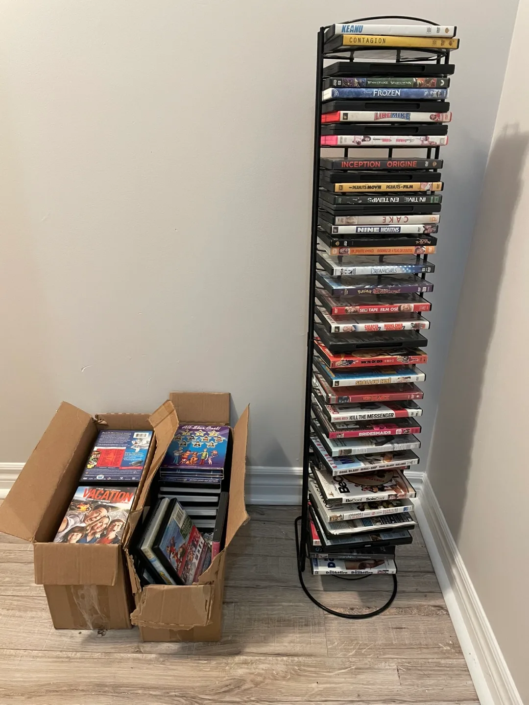 100+ DVD Collection thumbnail