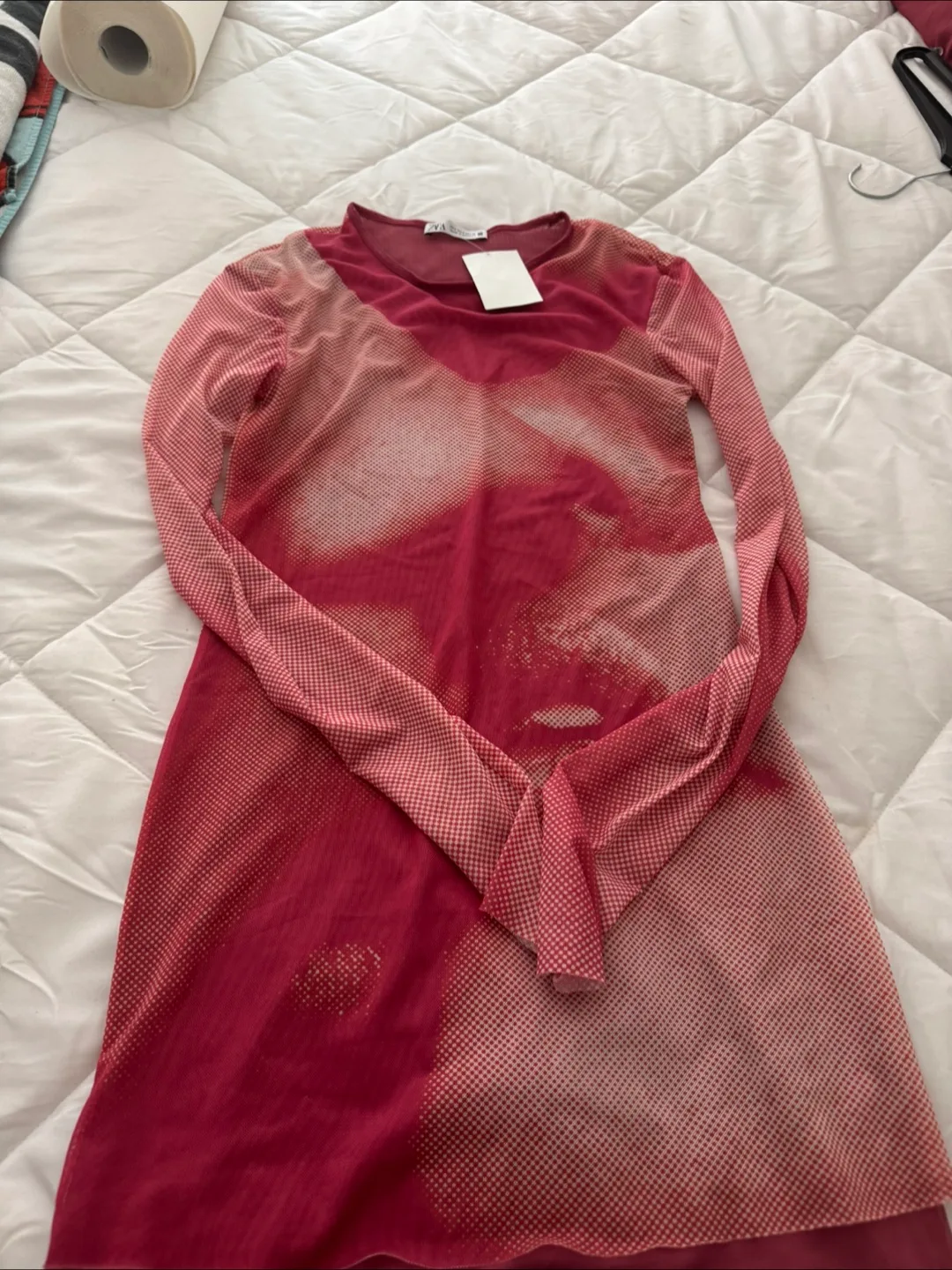 Zara Pink Patterned Mesh Dress image indicator(2)