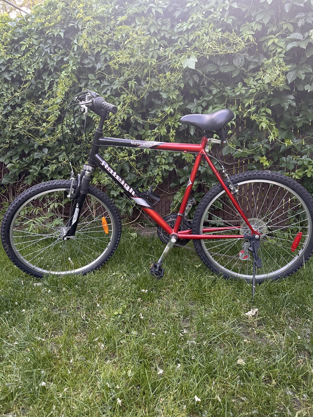 Raleigh M70 Mountain Bike