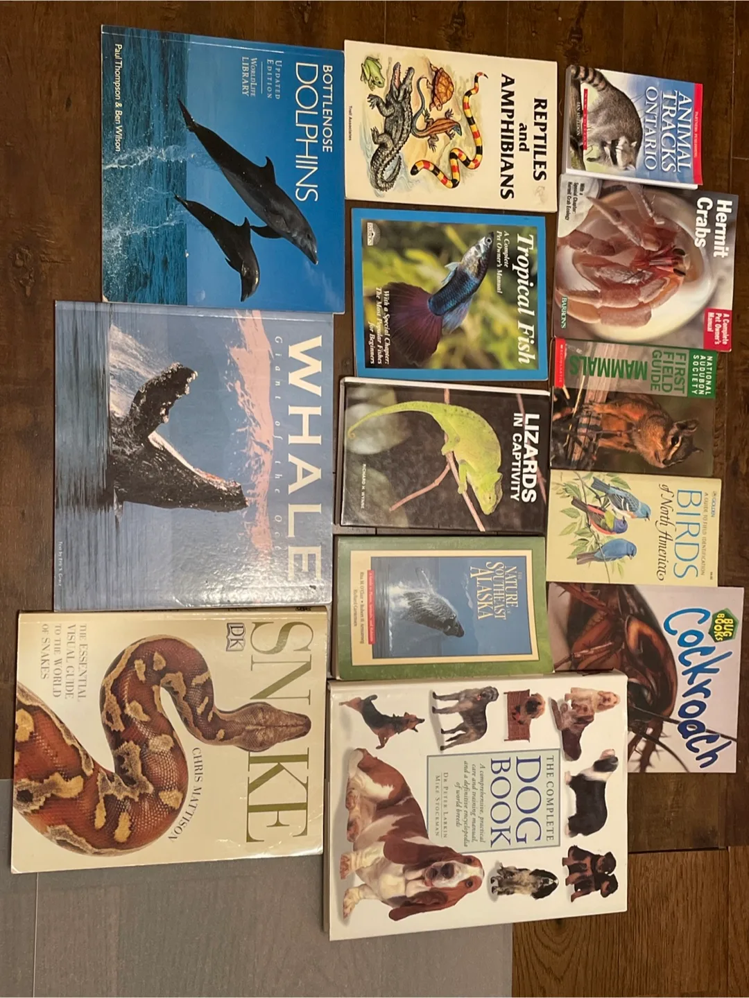 Assorted Animal Books: Dolphins, Snakes, Dogs & More! thumbnail