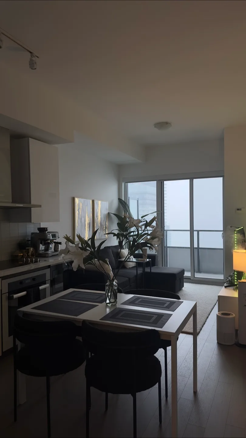 Black Dining Chairs - Set of 4 (only chairs) image indicator(5)