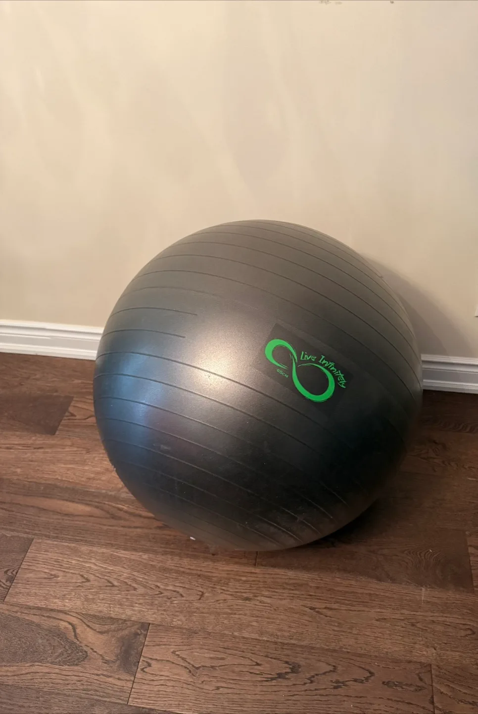 Live Infinity Exercise Ball thumbnail