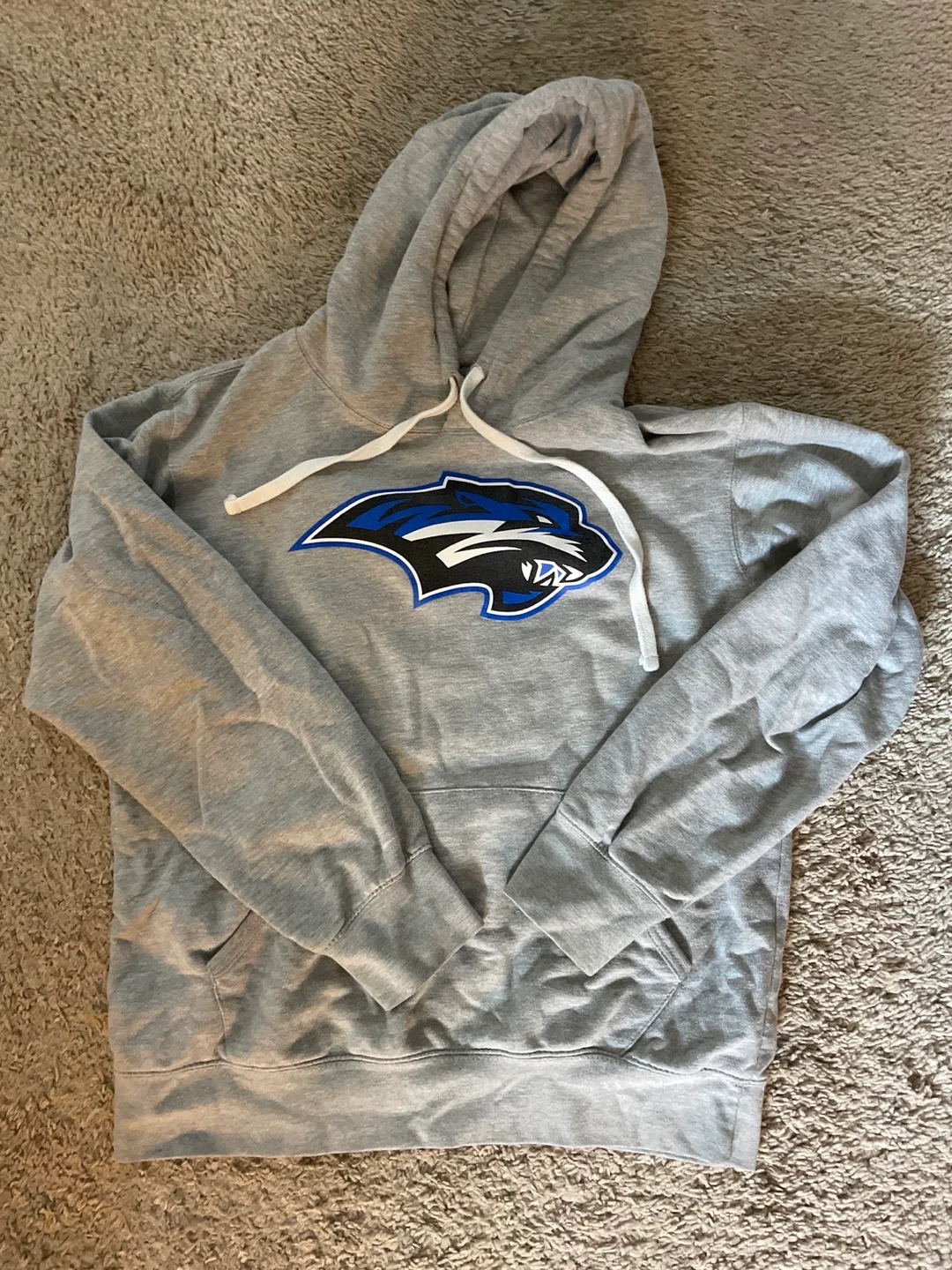 Cozy Grey Hoodie with Logo thumbnail