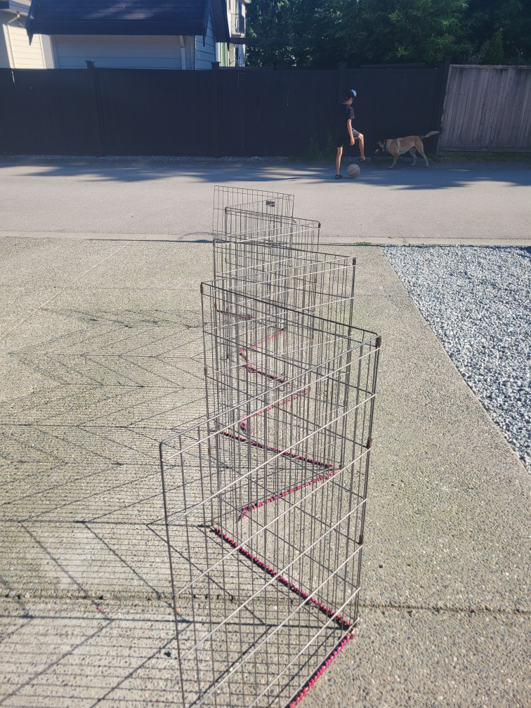 Dog Fence