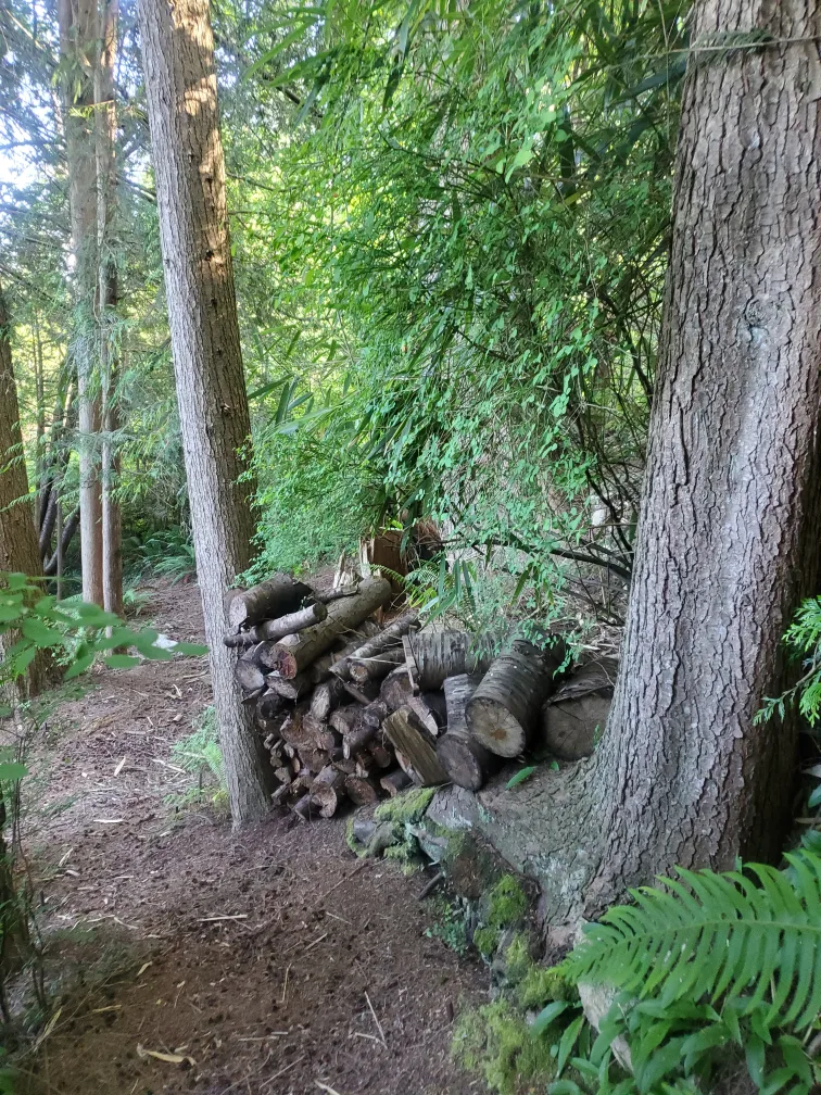 free firewood image indicator(4)