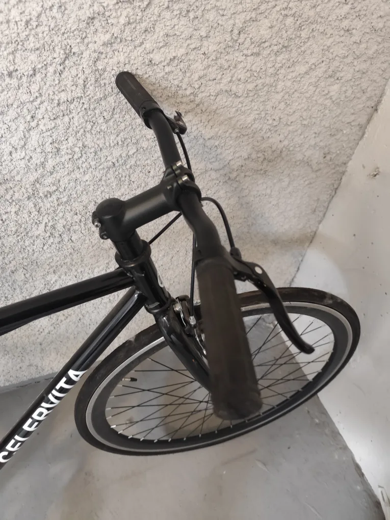 Celervita Black Bike image indicator(3)