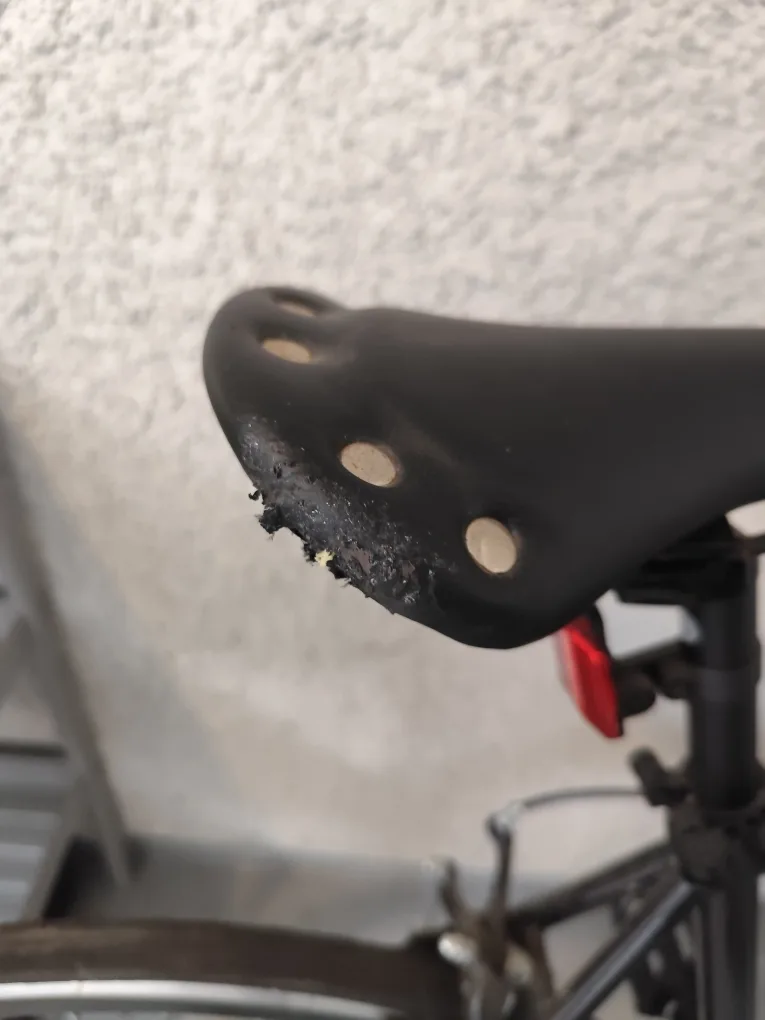 Celervita Black Bike image indicator(5)