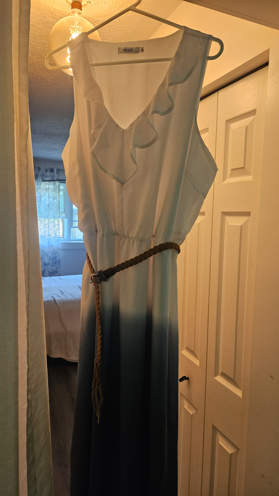 Ricki's Ombre Ruffle Dress size 18