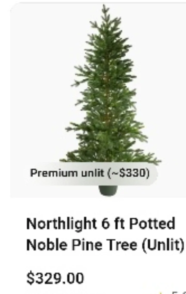 🍁 Northlight 6 ft Potted Noble Pine Tree (Unlit) thumbnail