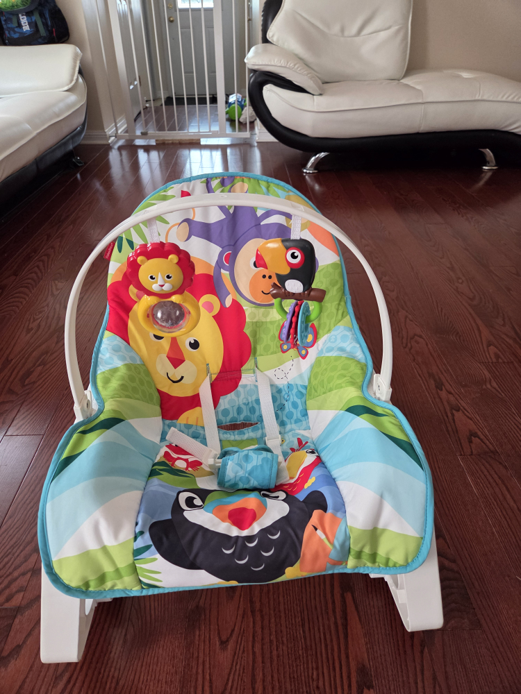 Fisher-Price Infant Rocking Chair - photo 2