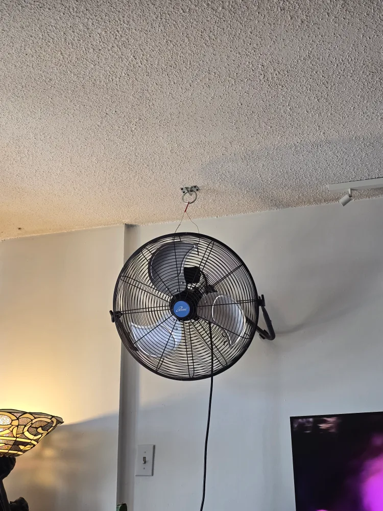 Living Solutions Black Floor Fan thumbnail