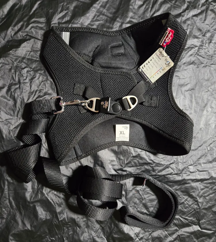Dog Harness and Leash - Black - Size XL image indicator(2)