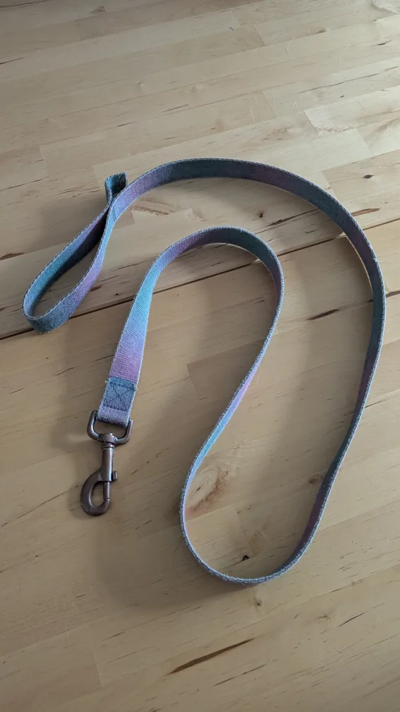 Dog Leash - Pastel Rainbow #freecycle thumbnail