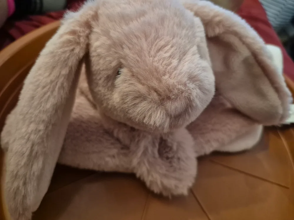 Ebba Lil' Benny Collection Bunny Comforter image indicator(2)