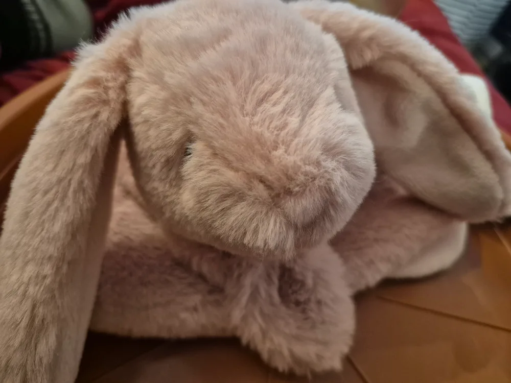 Ebba Lil' Benny Collection Bunny Comforter image indicator(4)