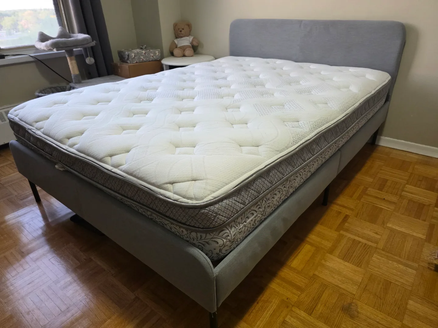 Full Sized Bedframe and Mattress