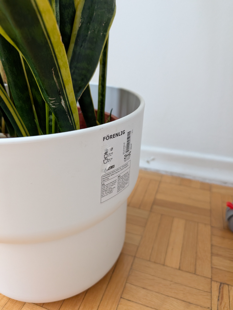 Snake Plant in IKEA FÖRENLIG Pot - photo 3