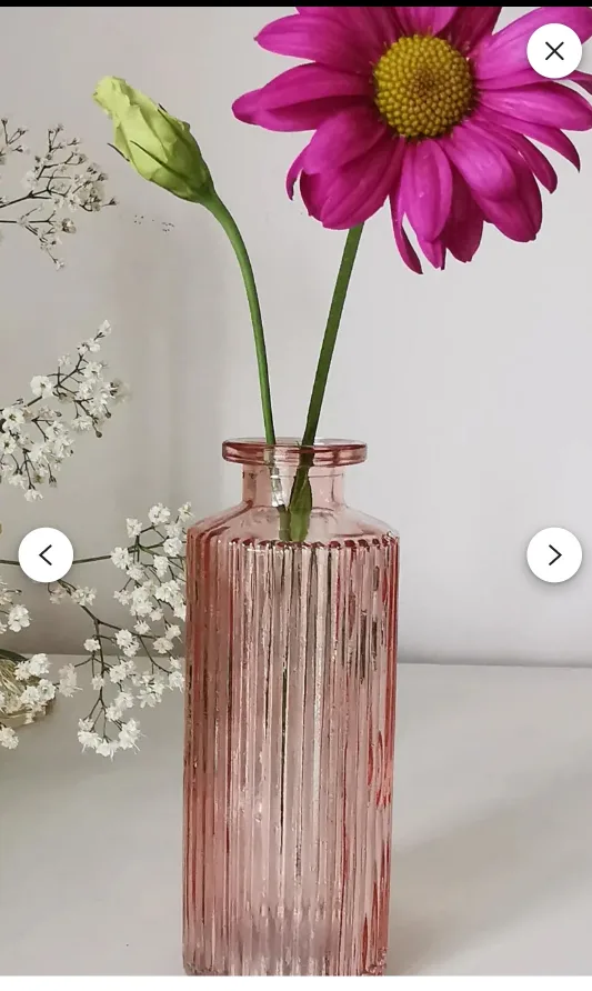 Rose Pink Glass Vases Set🥕 image indicator(3)