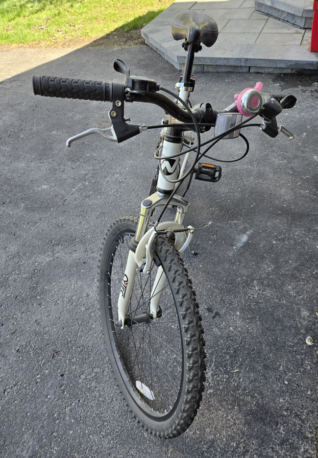 FREE Nakamura Hybrid Mountain Bike - photo 2