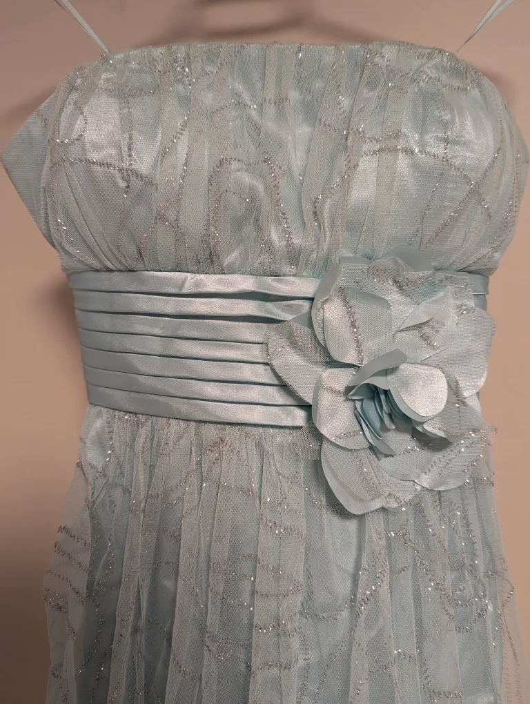 Strapless Blue Sparkle Dress ~ *Pre-Loved* image indicator(2)