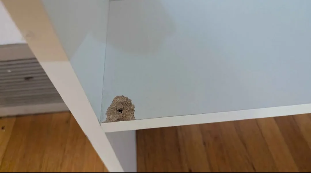 White Cabinet with Doors #freecycle image indicator(4)