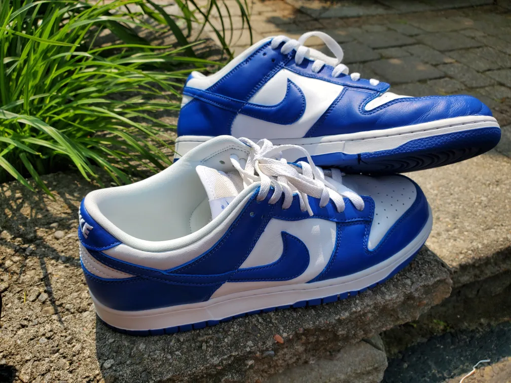 Nike Dunk Low Blue/White thumbnail