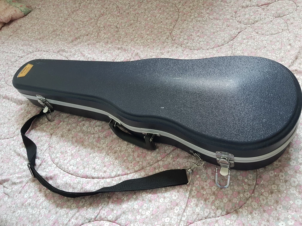 4/4 Violin with Case and Bow