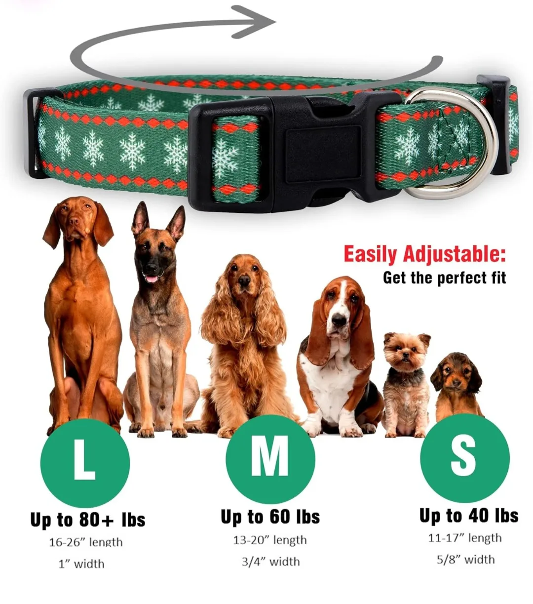 Dog Collar - Size M image indicator(2)
