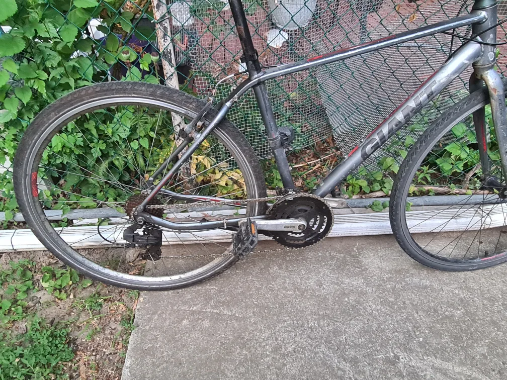 Giant Bicycle image indicator(2)