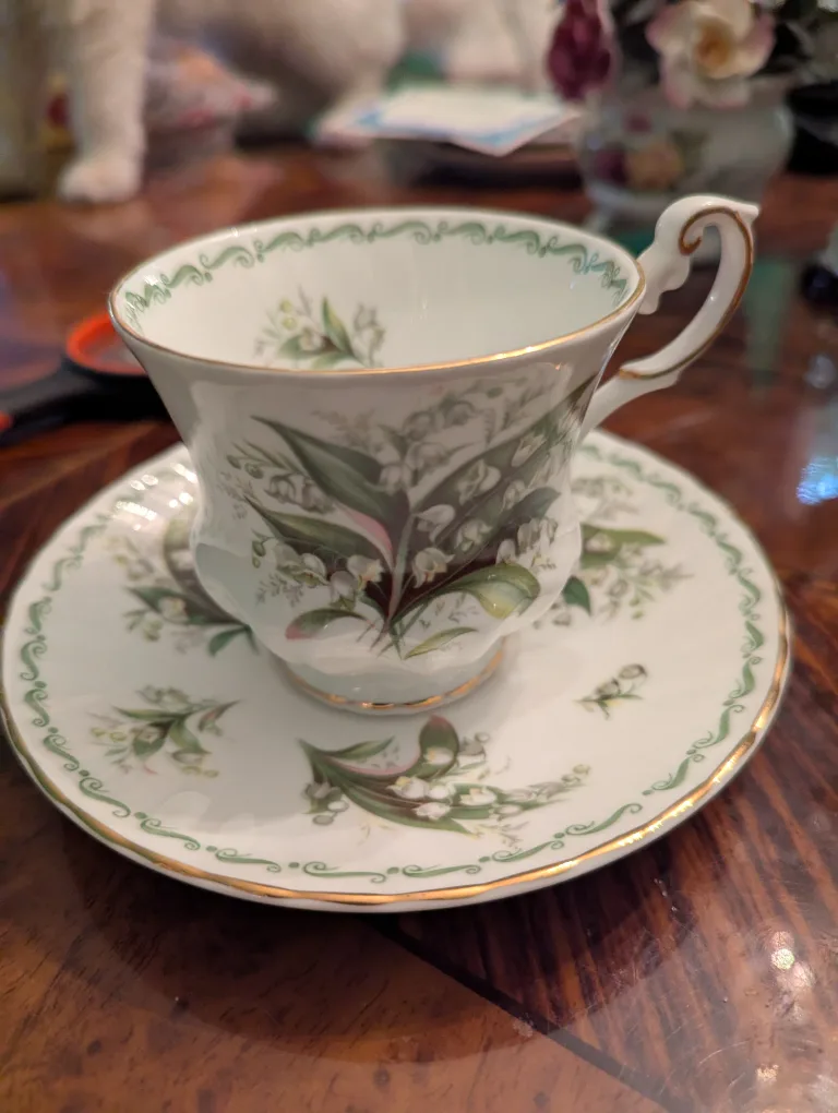 Queen's Rosina Fine Bone China Teacup & Saucer thumbnail