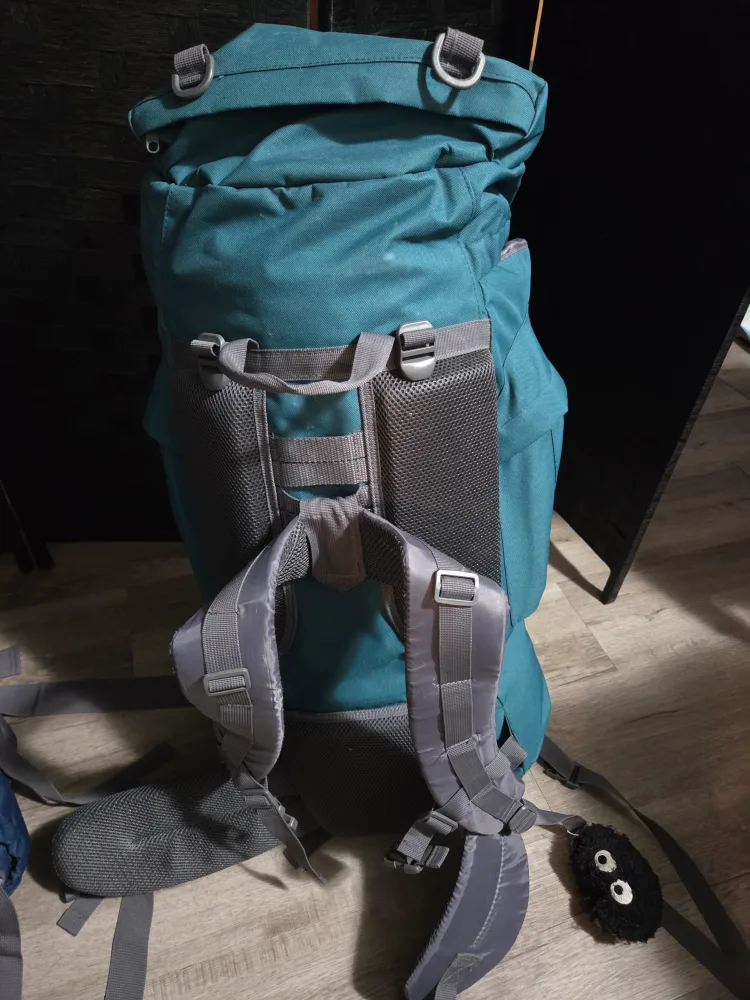 65L Teal Hiking Backpack💚 thumbnail