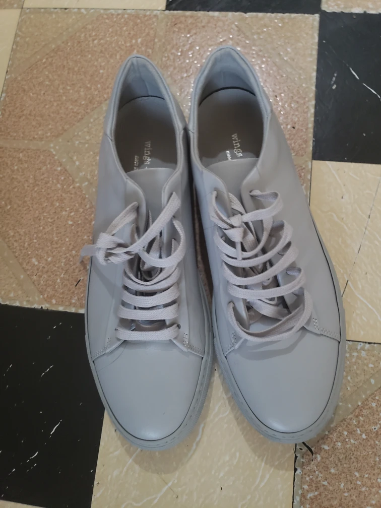 Wings Grey Sneakers
