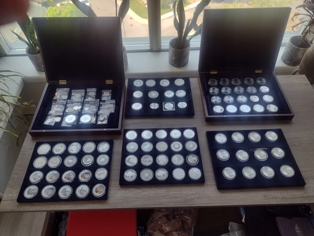 80 1 oz silver coins thumbnail