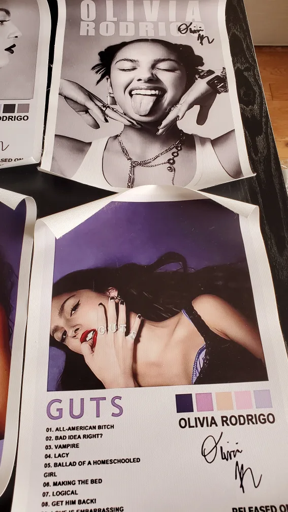 Olivia Rodrigo Canvas Posters - Set of 6 image indicator(5)